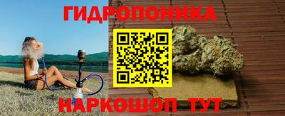 каннабис Кингисепп