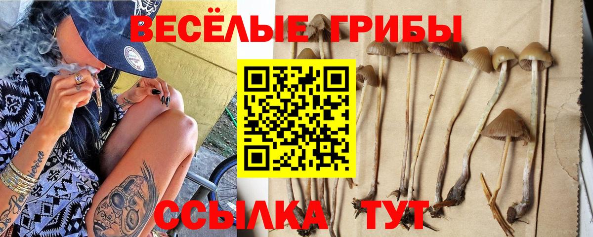 Кстово  Галлюциногенные грибы Magic Shrooms  Галлюциногенные грибы Magic Shrooms  Вход с VPN 
